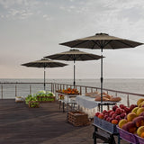 Four Seasons Courtyard 9 Foot Patio Market Umbrella Round Polyester Fabric Outdoor Backyard Shaded Canopy with Crank Lift and Auto Tilt, Taupe Four Seasons Courtyard