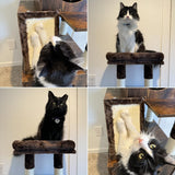 YITAHOME Modern Cat Tree with Litter Box Enclosure, Combo Endtable and Large Cat Tower with Basket, 4-in-1 Litter Box Furniture Hidden and Scratching Post for Large Cats YITAHOME