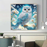 ZHUDENGXJL Special Shape Diamond Art Kits for Adults Beginners, 5D Diamond Painting Kits for Owl,DIY Gem Art Crystal Rhinestones Painting Kit for Adults Home Wall Decor 12 X 12inch ZHUDENGXJL