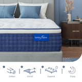 SynthoSpace Queen Mattress 12 Inch Queen Size Hybrid Mattress in a Box, Individual Pocket Springs for Motion Isolation & Pressure Relief, Enhanced Edge Support, Fiberglass Free, Medium, 60" x 80" SynthoSpace
