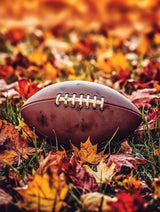 Generic Fall Football Autumn (1) 5D Adult Diamond Art,DIY Diamond Art Painting Kits for Decor canvas 15.7x11.7inch/30x40cm, clear WoodArtSupply