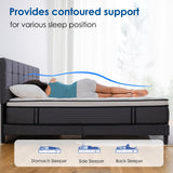 10 Inch King Mattress, Memory Foam Hybrid Mattress, Motion Isolation Pocket Spring Bed in a Box, Medium Firm for Pressure Relief, Breathable Pillow Top, CertiPUR-US Certified Marine Moon