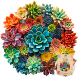 Wooden Puzzle for Adults, 216 pcs Puzzle, Wooden Jigsaw Puzzle, Jigsaw Puzzles, Succulent Puzzles, Rompecabezas de Madera LifeStyLix