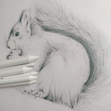 6 PCS Blending Stumps and Tortillions, Sketch Drawing Tools, Paper Art Blenders for Student Sketch Drawing yuntop