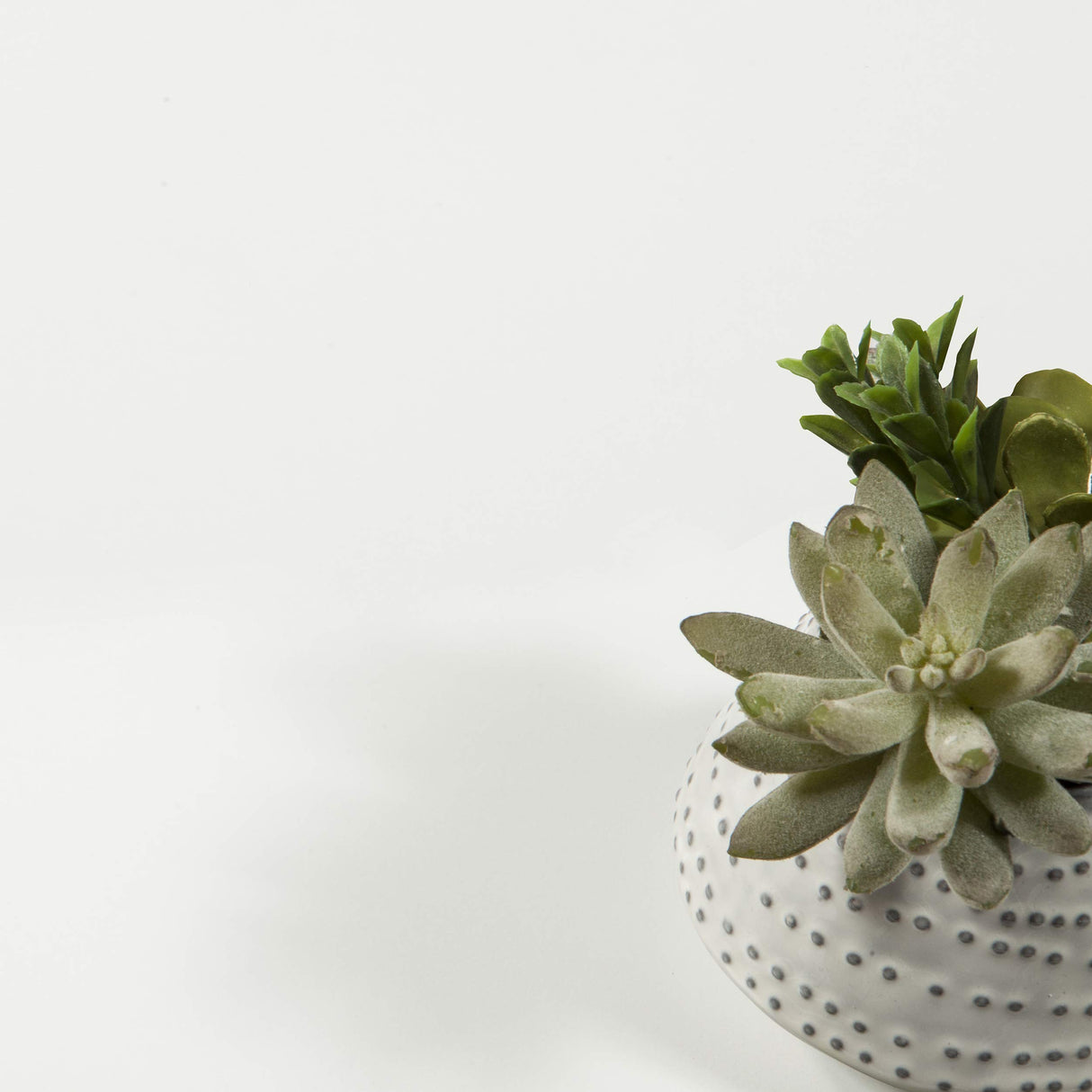 Tvilum Element Wide 5 Shelf Bookcase, Tall, White Tvilum