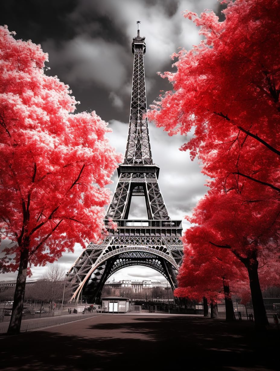 Black and White Paris Eiffel Tower (Red) 5D Adult Diamond Art,DIY Diamond Art Painting Kit for Decor Canvas 11.7x15.7inch/30x40cm Generic