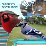 BROAIMX Smart Bird Feeder with Camera, Free AI Forever for 11,000+ Bird Species, 64G TF Card & 1080P HD, Solar-Powered Wireless Outdoor Bird Feeder, App Alerts & Two-Way Audio for Garden Bird Watching BROAIMX