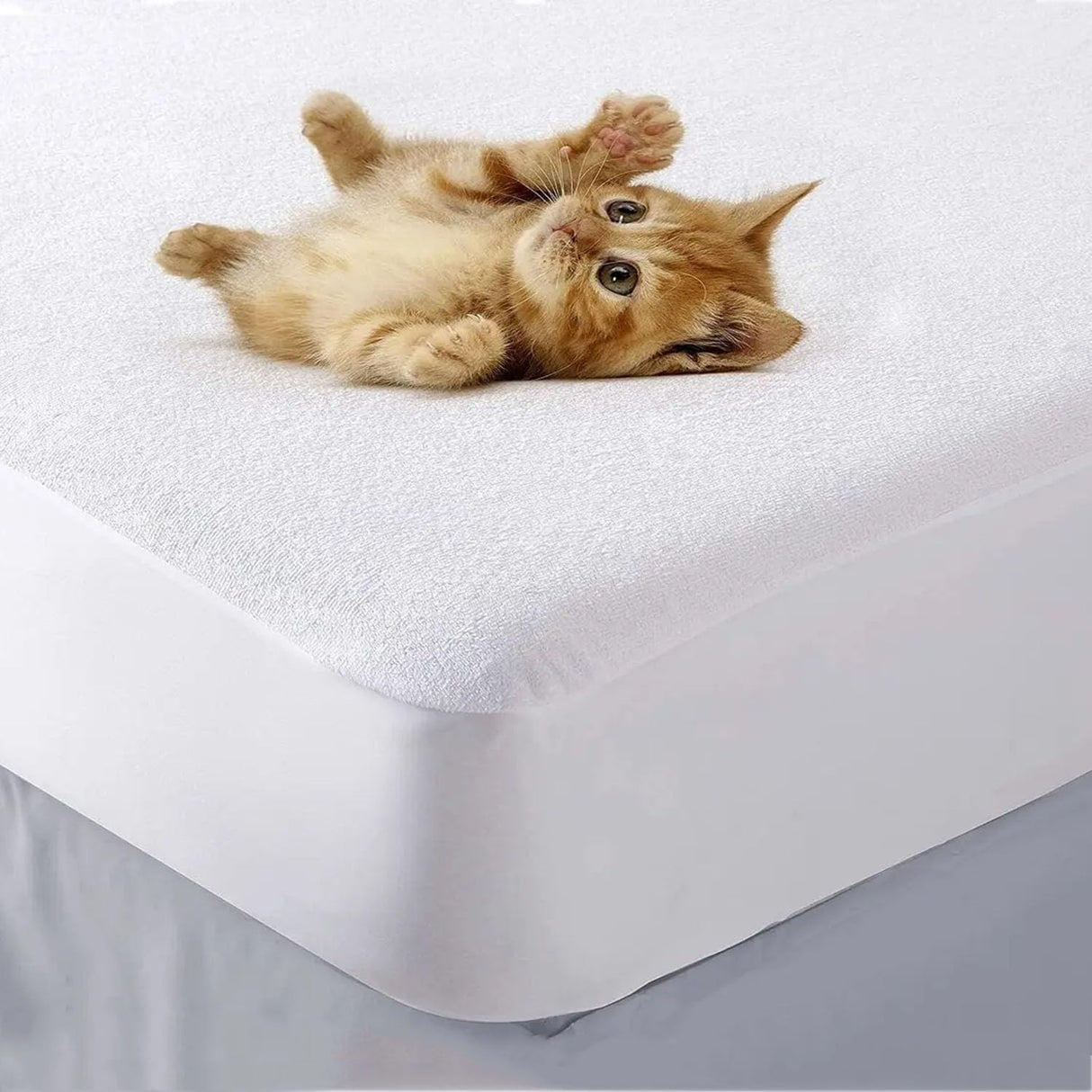 Queen Zippered Mattress Protector,Absorbent Six-Sided Mattress Cover Queen Size Bed, 15-18 Inch Noiseless Washable Mattress Encasement, Sleep Defense System, Hypoallergenic & Soft Miloll