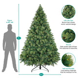 Vail 9ft Prelit Artificial Christmas Tree with Pine Cones, Foot Pedal, 2294 Branch Tips, 1050 Warm Lights and Metal Stand, 62" Wide Realistic Traditional Christmas Tree with Lights by Naomi Home Naomi Home