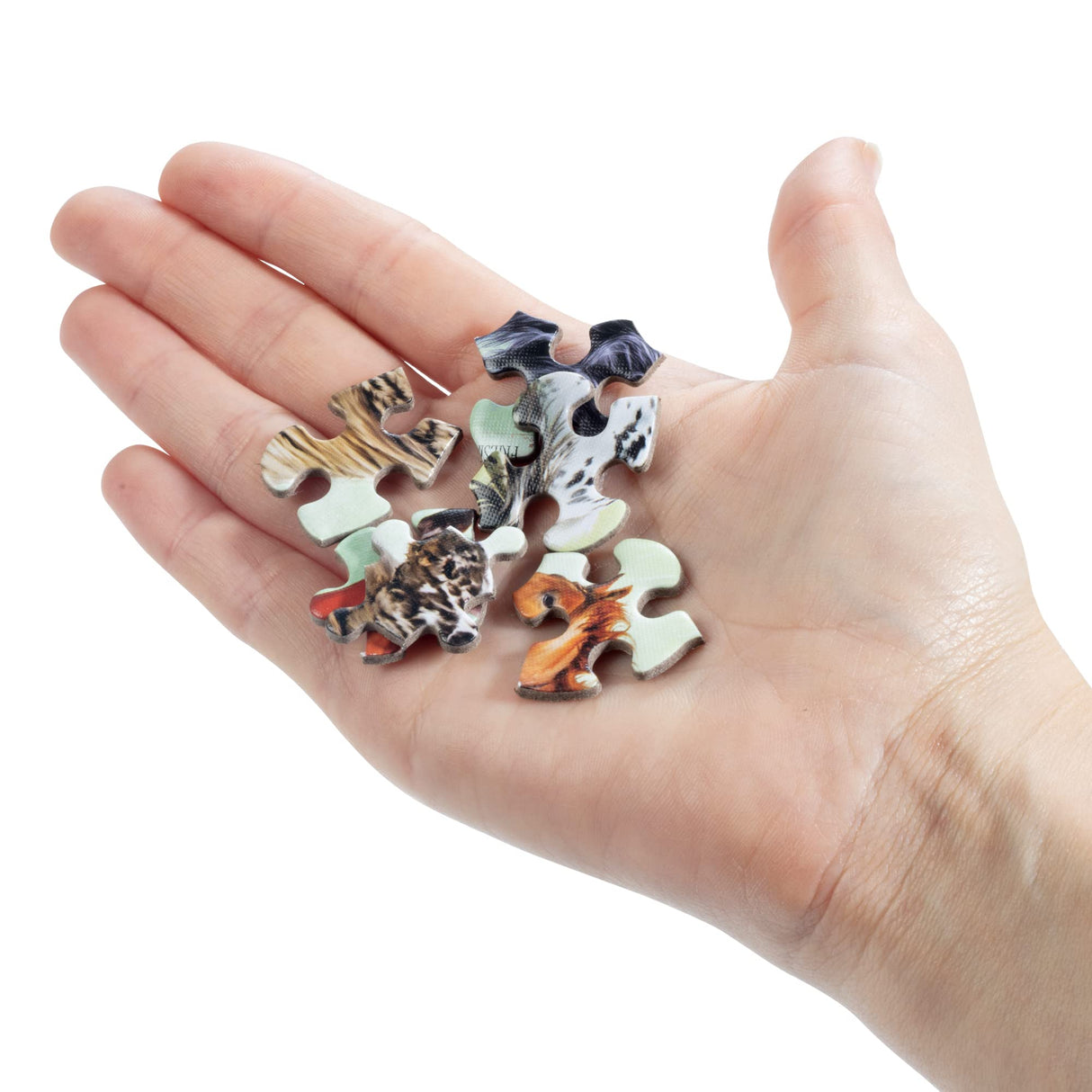 Horses Jigsaw Puzzle, 500 Pieces - Magnificent Horses, 20" x 14" - with 32 Page Pocket Field Guide - Great Gift for Horse Lovers Insight Editions