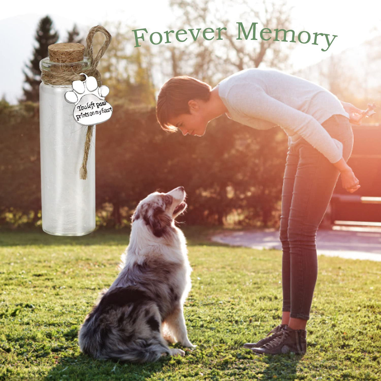 Pet Hair Memorial Bottle,Glass Vial for Ashes Or Hair Dog Or Cat Keepsake Pet Loss Gift (Bottle) free-space
