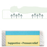 ZINUS 8 Inch Green Tea Cool Feel Memory Foam Mattress, Full, Mattress in A Box with Compact WONDERBOX Packaging, CertiPUR-US Certified ZINUS