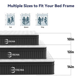 CRYREINA Queen Mattress, 14 Inch Queen Hybrid Mattress in a Box, Upgrade Individually Pocket Springs, Medium Firm, Pressure Relief, Breathable Comfort and Durable, CertiPUR-US Certified CRYREINA