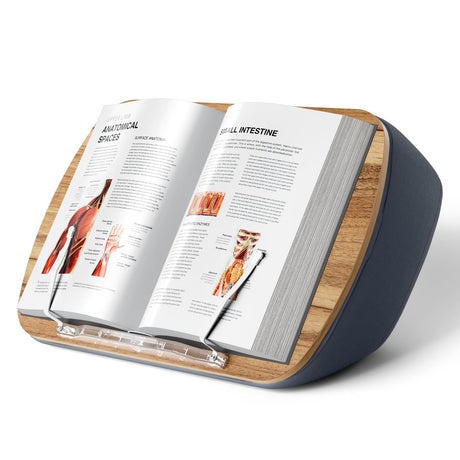 ERGONOV Lap Beanbag Book Stand for Hands Free Reading Comfortable Reading Pillow Stand Minimize Neck Strain Perfect Idea for Book Lovers in Dorm Room or Anywhere Else with Bookseat(Gray) ERGONOV