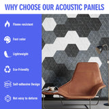 Acoustic Panels Self-Adhesive,12 Pack Snowflake Pattern Sound Proof Panels For Wall,12" X 10" X 0.4" High Density Soundproof Wall Panels,Sound Absorbing Panel for Room & Offices Diapu