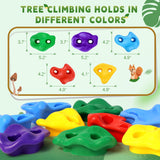 TOPNEW 12 Ninja Tree Climbing Holds for Kids Climber, Adult Climbing Rocks with 6 Ratchet Straps for Outdoor Ninja Warrior Obstacle Course Training TOPNEW