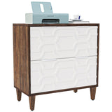Tribesigns 2-Drawer File Cabinet, Lateral Filing Cabinet for A4/Letter/Legal Size, Office Storage Cabinet, Printer Stand with Storage Drawer for Home Office, Brown and White Tribesigns