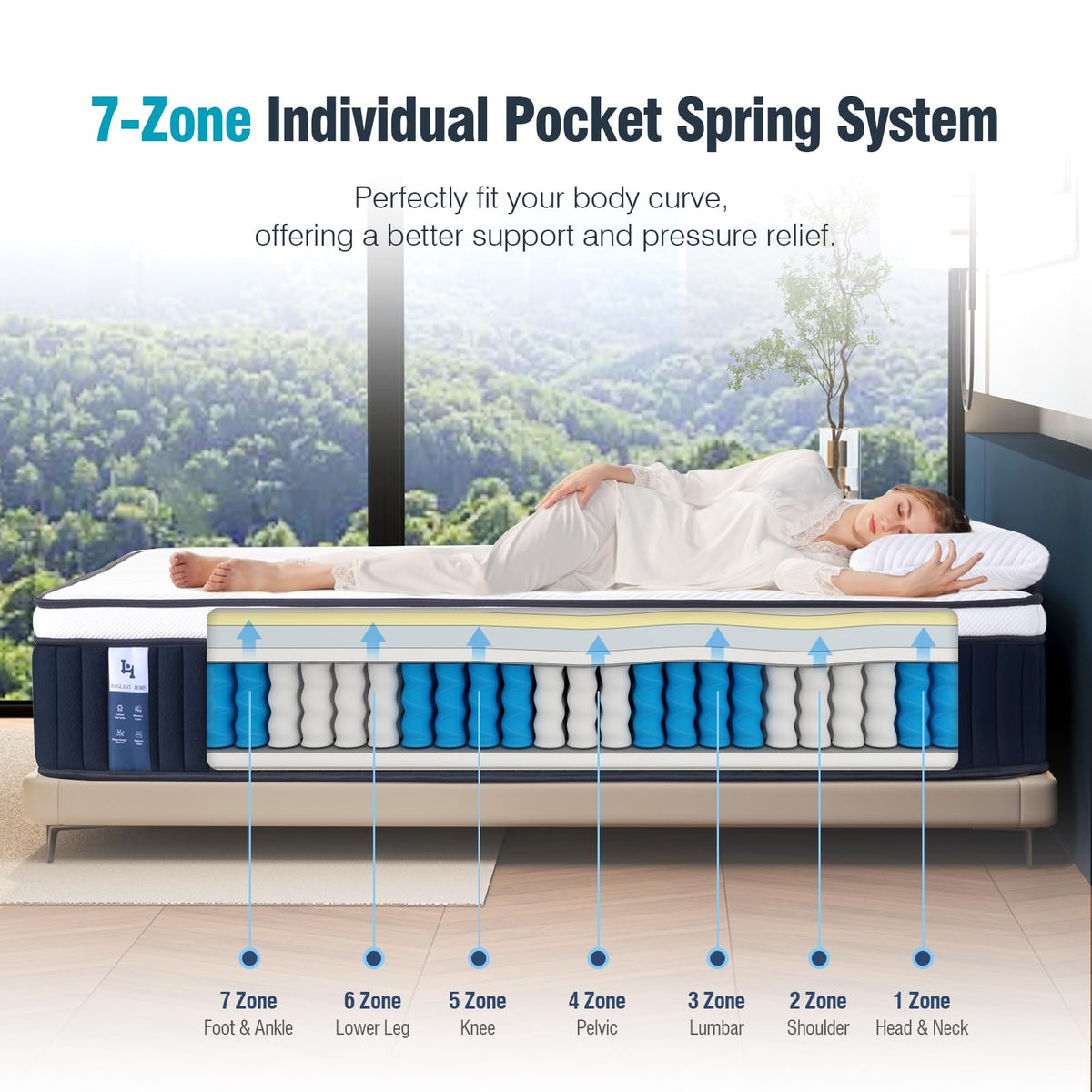 Queen Mattress, DIGLANT 14Inch Euro Top Memory Foam Hybrid Mattress, Medium Plush Feel Pocket Springs Queen Size Mattress for Pressure Relief, Edge Support Mattress in Box, CertiPUR-US, 60"*80" DH DIGLANT HOME