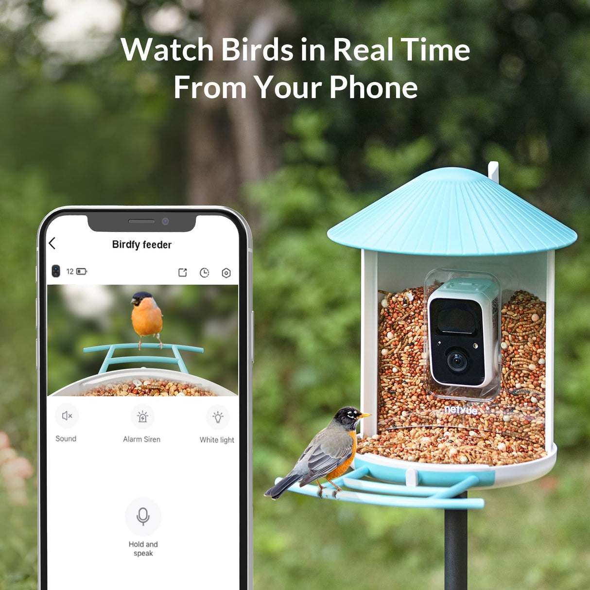 NETVUE Birdfy Lite - Smart Bird Feeder with Camera, Bird Watching Camera, Auto Capture Bird Videos & Motion Detection, Wireless Camera Ideal Gift for NETVUE