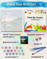 TOCARE Framed Paint by Numbers Kit for Adults, Aurora Borealis Paint by Number with Frame,Northern Lights Paint by Numbers Framed Canvas for Home Wall Decor (10x10 Inch, Without Easel) TOCARE