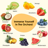 Fruity Fragrance Oil for Candle & Soap Making, INWICOPH Premium Essential Oils 5ml x 10 - Blueberry, Strawberry, Mango, Blood Orange, Essential Oil Diffusers for Home INWICOPH