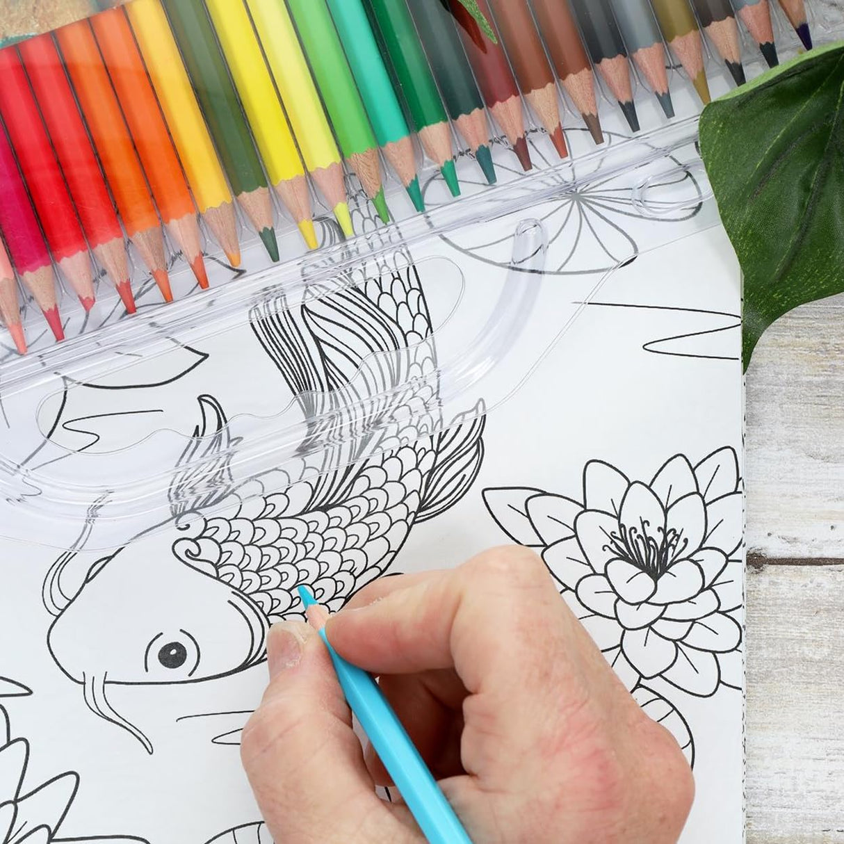 Leisure Arts Blooms & Butterflies Adult Coloring Book – Relaxation & Stress Relief with Intricate Floral, Butterfly Nature Designs, Premium Single-Sided Pages, 80 Sheets LEISURE ARTS