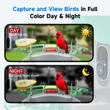 Bird Feeder with Camera, Smart AI Bird Breed Recognition, 1080P Bird Watching Camera with Solar Panel, Auto Capture Bird Videos & Instant Notifications, Ideal Gift for Bird Lover Green DOCOON