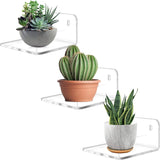Trailwalk Acrylic Small Shelf,Mini Floating Wall Shelf,Wall Mounted Storage Shelf,for Pop Figures,Plant,Picture Photo Modern Wall for Office Bedroom Living Room,Clear (3 Pack) Trailwalk