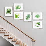 SESEAT 11x14 Picture Frame, Display Pictures 8x10 With mat or 11x14 Prints Without Mat, Wall Mounting, Distressed White, 6PCS SESEAT