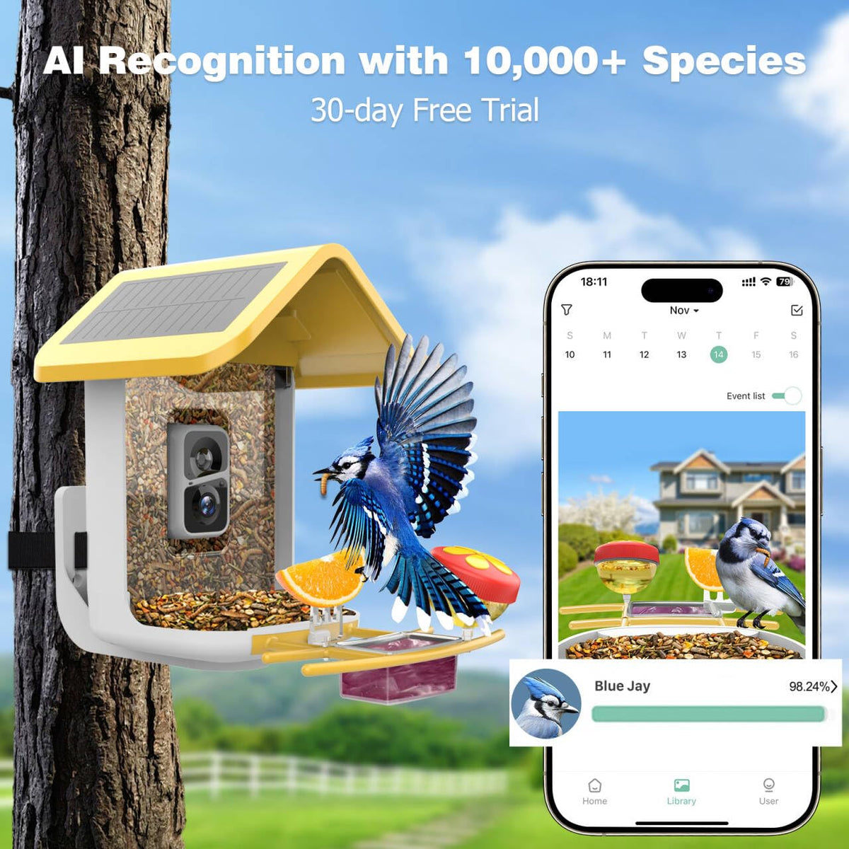 Viubird Bird Feeder with Camera: Solar Powered Smart Bird Camera Feeder 2K Live Feed for Backyard - AI Identify Auto Capture Videos, Gifts for Birdlovers Mom Dad, 2.4GHz WiFi VIUBIRD