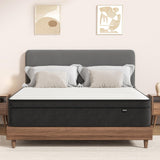 Hotkid,Twin Mattress,10 Inch High Density Foam Hybrid Mattresses in a Box with Individual Pocket Spring,Twin Size mattresses,Breathable Supportive and Pressure Relief,Guest and Kids Bedroom Hotkid