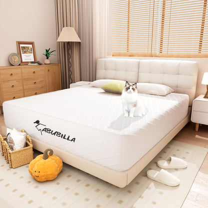 10 Inch Queen Mattress,Queen Size Mattress,Guest Room Mattress, Memory Foam Mattress,Comfort Level of This Mattress is Extraordinary,Improved Sciaticaa,CertiPUR-US Certified【New Version】