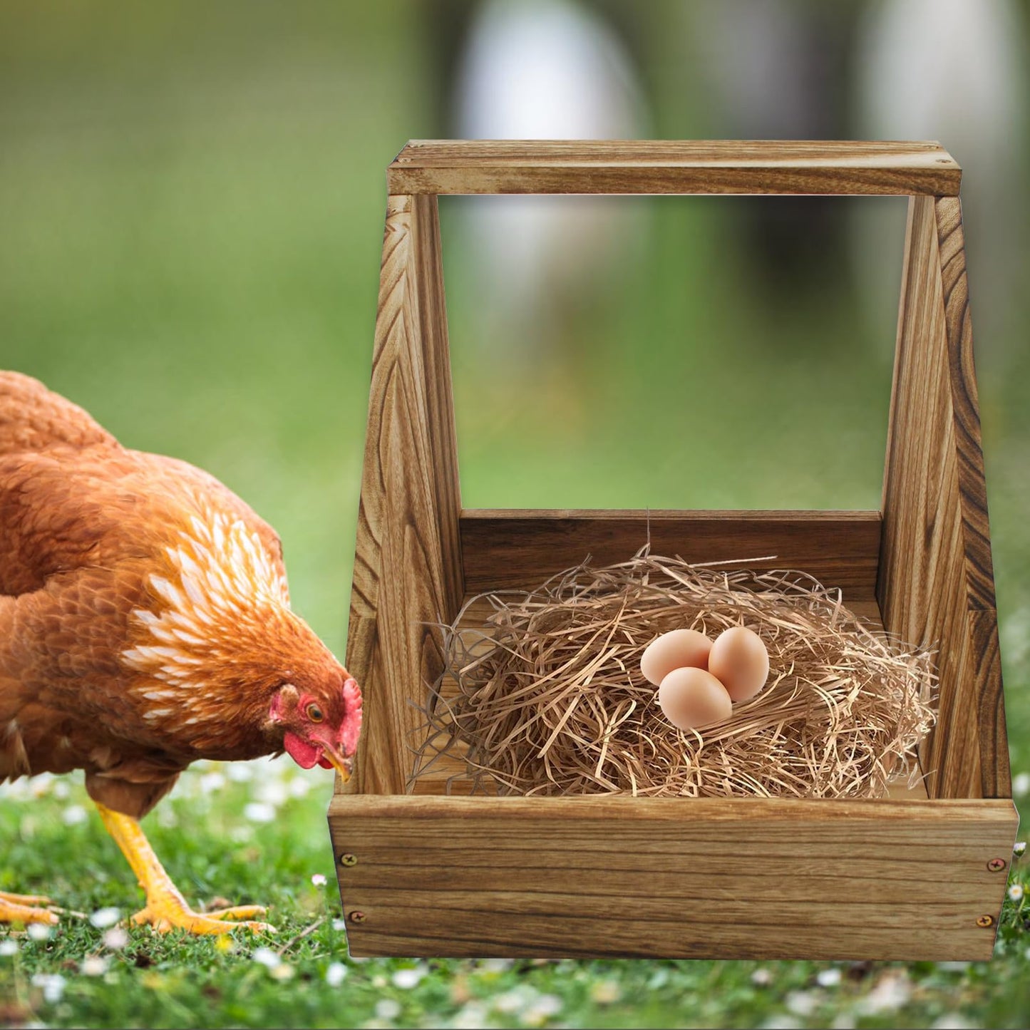 kathson Chicken Nesting Box,Wood Chickens Coop Nesting Boxes Single Compartment Hen Nesting Box Big Duty Laying Nest Boxes for Hens Ducks and Poultry(1 Pcs,No Perch) - WoodArtSupply