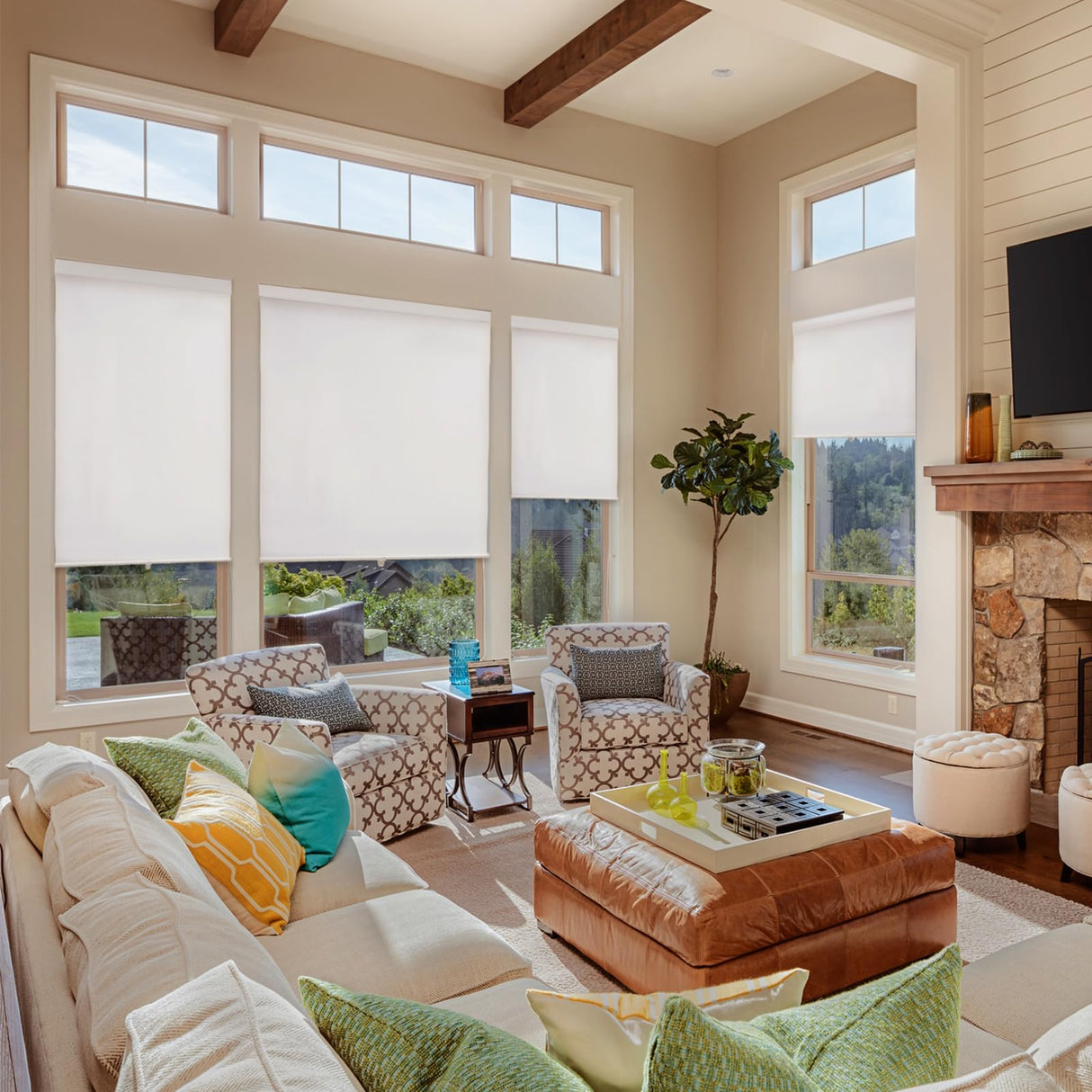 100% Blackout Cordless Roller Window Shades,Blackout Window Blinds,Thermal Insulated UV Protection Roller Blinds,Door Blinds,Window Shades Pull Down for Home,Office,Easy to Install,34" W x 72" H,White Anpark