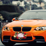 10 Pack Sublimation License Plate Blanks,Thickness 0.65mm Heat Thermal Transfer Sheet DIY Picture Sublimation Blank,Metal Aluminum Automotive License Plate Plates Tag for Custom Design Work- White XIHEYOMI