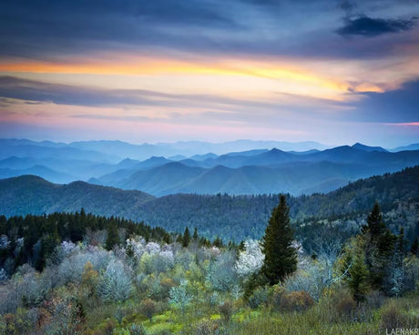 DIY Digital Acrylic Painting Set Scenic Blue Ridge Park Way Appalachians Smoky Mountains Spring Paint by Numbers on Canvas Without Frame for Adult Beginner Children Art Craft Wall Decor 16x20in LAENAKR