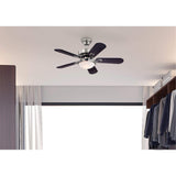 Westinghouse 7230300 Cassidy Indoor Ceiling Fan with Light, 36 Inch, Brushed Nickel Westinghouse