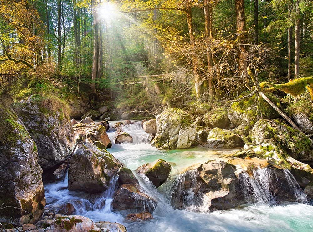 Castorland The Forest Stream Puzzle (2000 Piece) Castorland