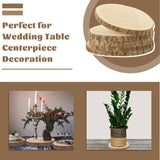 10 Pcs Large Unfinished Wood Slices for Centerpieces, 7-9 inches Wood Rounds for Crafts, Decor Rustic Wood Circles for DIY Crafts, Wedding Decor, Round Wooden Discs Wood Slice Ornaments CYEAH