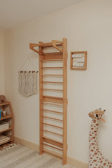 WOOD&ROOM Indoor Montessori Swedish Stall Bars Climbing Wall for Toddlers with Climber Ramp Wooden Swedish Ladder Stall Bars Climber for Kids Gymnastic Wall (no Slide) WOOD&ROOM