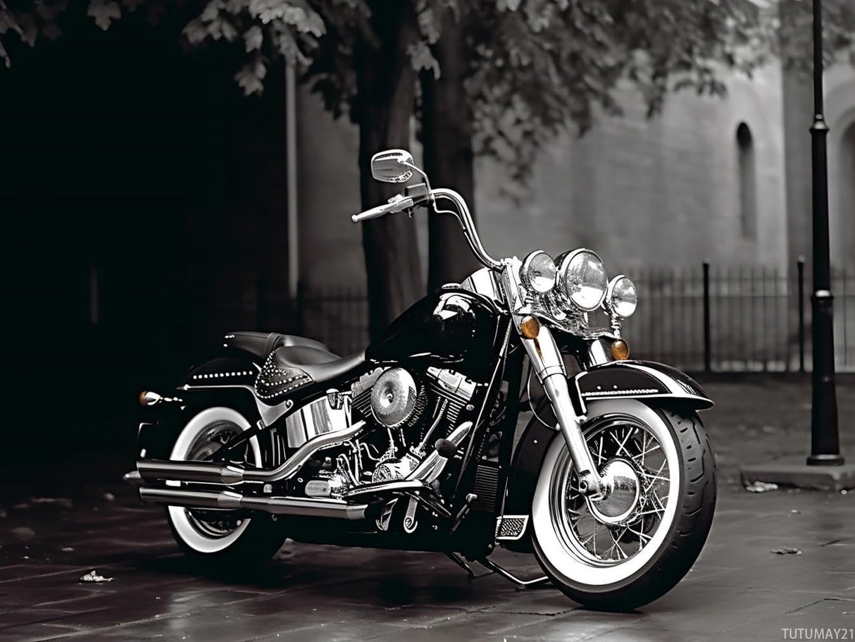 TUTUMAY21 Motorcycle Diamond Painting Kits Classic Bike 5D Diamond Painting Kits for Adults Round Full Drill Diamonds Diamond Art Kits Crafts for Home Wall Decoration Gifts 12x16 inch TUTUMAY21