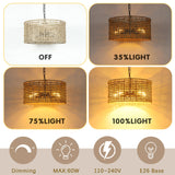 Mgcanyu 17.7" Rattan Dining Room Light fixtures, 5-Light Hand Woven Pendant Lights Kitchen Island Rattan Boho Chandelier Bohemian Hanging Ceiling Lights Wicker Lighting for Restaurants Living Room Mgcanyu