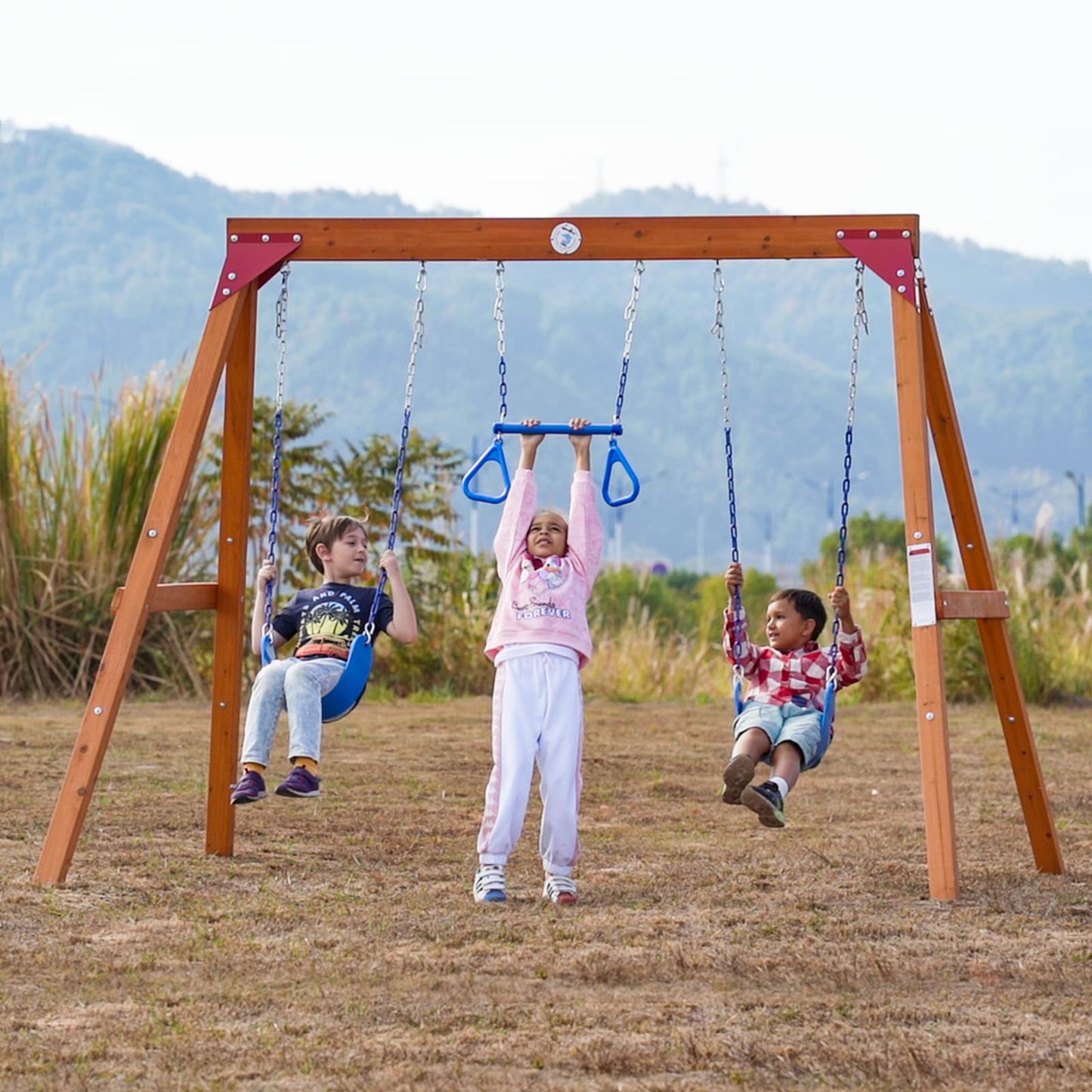 Dolphin Playground DIY Swing Sets for Backyard, Wooden Swing Set Outdoor for Kids with Trapeze Swing Bar and 2 Belt Swings, Heavy Duty Playground Accessories, Suitable for Any Swing Replaceme - WoodArtSupply