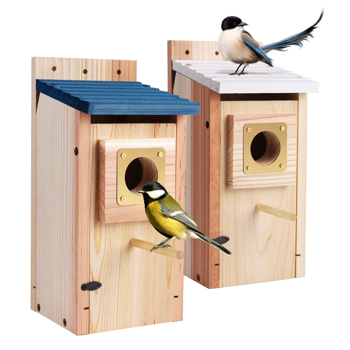 Bluebird Houses 2Pack for Outside with Copper Guard, Pole, Thicken Wooden Hanging Birdhouse Clearance Garden Country Cottages, Nesting Box for Bluebird Finch Swallow Wren Chickadee Wild Bird Supplies ColorfulLaVie