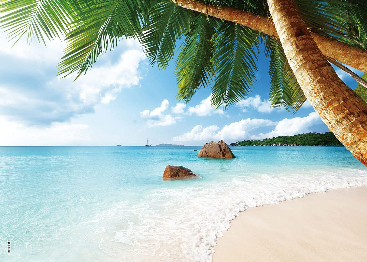 BEDUKE Jigsaw Puzzles 1000 Piece - Every Piece is Unique - for Adults Sturdy Thick Cardboard Puzzle Coastal Beach Precise Interlocking Family Game Age 14+ BEDUKE