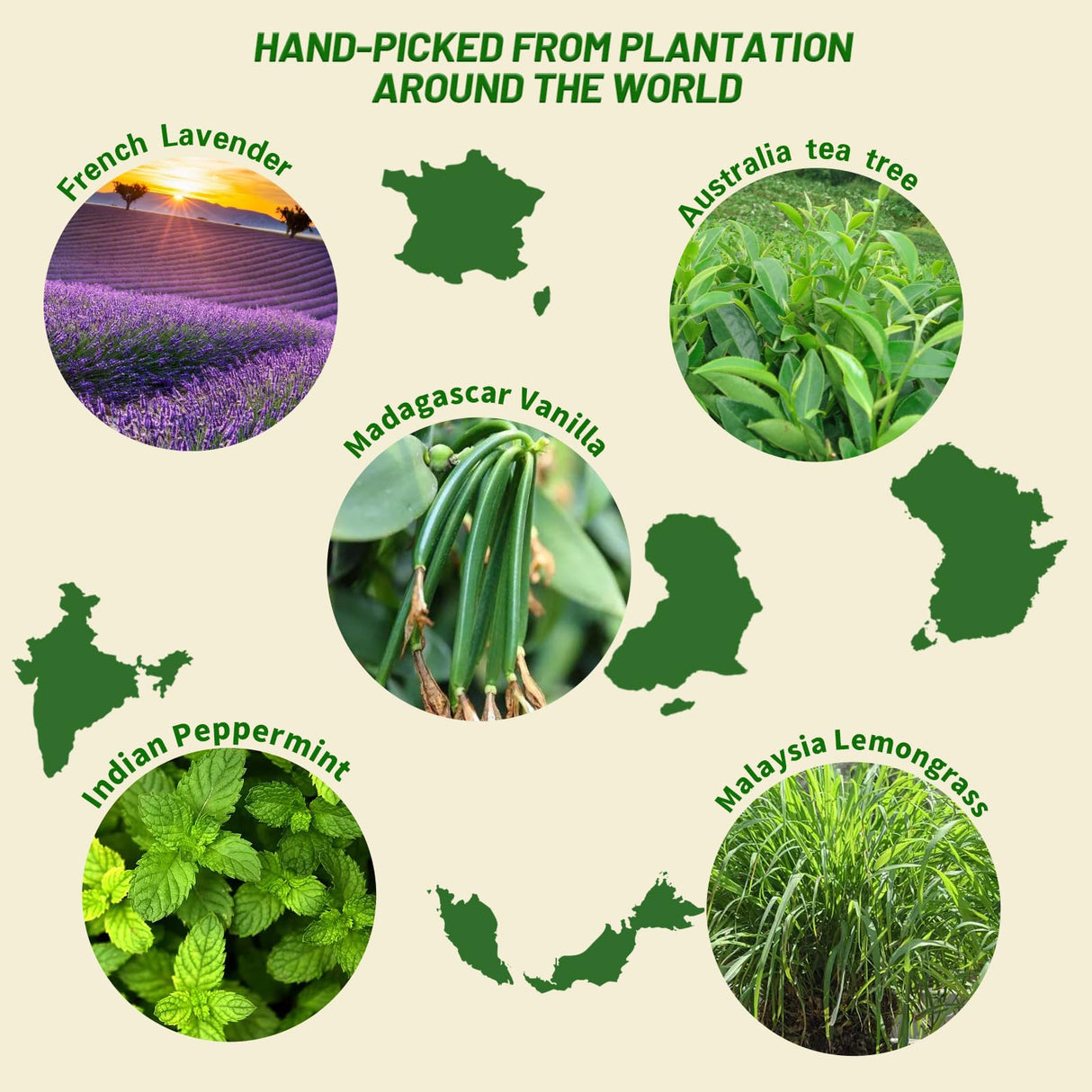 MISIJI Essential Oils Set Top 6 Aromatherapy-Essential Oils for Diffuser for Home,Air Freshening Diffuser Oils Scents for Aromatherapy,Laundry,Candle&Soap Making,Humidifiers 6 X 10ML MISIJI