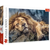 Trefl Sleeping Lion 1000 Piece Jigsaw Puzzle Red 27"x19" Print, DIY Puzzle, Creative Fun, Classic Puzzle for Adults and Children from 12 Years Old Trefl