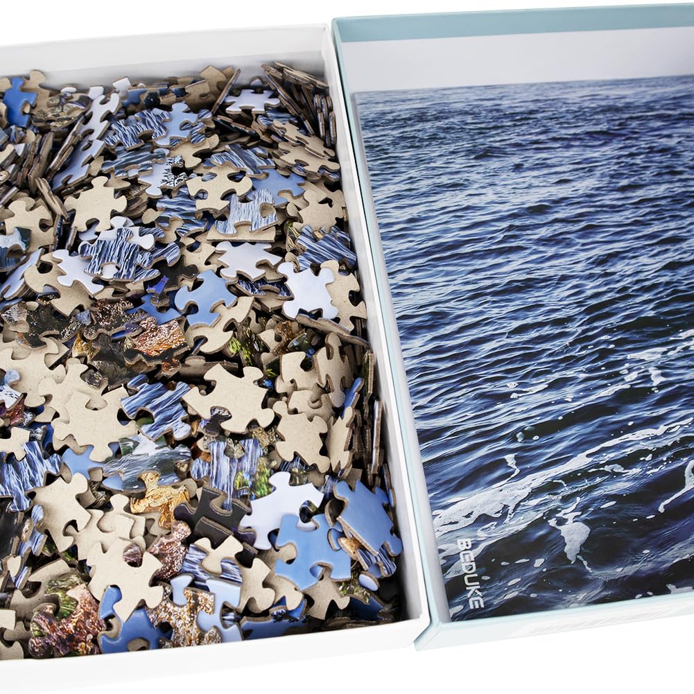 BEDUKE Jigsaw Puzzles for Adults 1000 Pieces Acadia National Park 1000 Piece Puzzle Age 14+ Thick Sturdy Cardboard Precise Interlocking Family Game BEDUKE