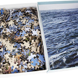 BEDUKE Jigsaw Puzzles for Adults 1000 Pieces Acadia National Park 1000 Piece Puzzle Age 14+ Thick Sturdy Cardboard Precise Interlocking Family Game BEDUKE