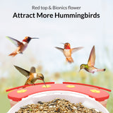 NETVUE Birdfy Hummee - Smart Hummingbird Feeder with Camera, Auto Capture Bird Videos & Birdwatching Up-Close, 2 in 1 Feeders Attract More NETVUE